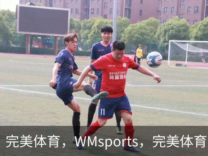 完美体育，WMsports，完美体育官方，完美体育平台，完美体育下载概况