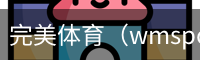 完美体育，WMsports，完美体育官方，完美体育平台，完美体育下载